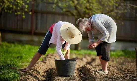 国有林区三调确定耕地适用于农村土地承包法条款规定吗