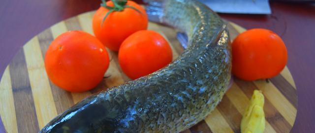 草鱼别红烧了，加5只番茄做成番茄鱼，酸爽开胃，比酸菜鱼还好吃