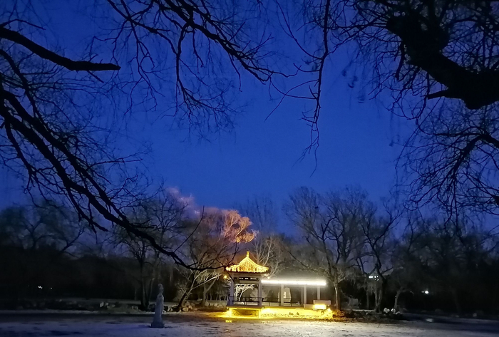 昭陵(沈阳北陵公园)夜景图