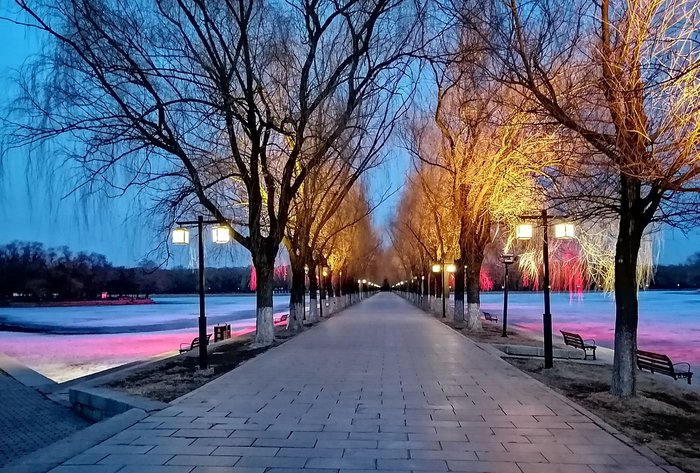昭陵(沈阳北陵公园)夜景图