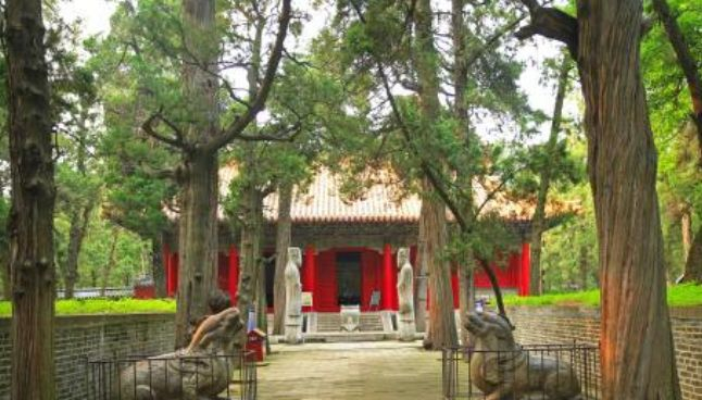 孔林是孔子及其后裔的墓地,规模庞大持续年代久远,具有非凡意义