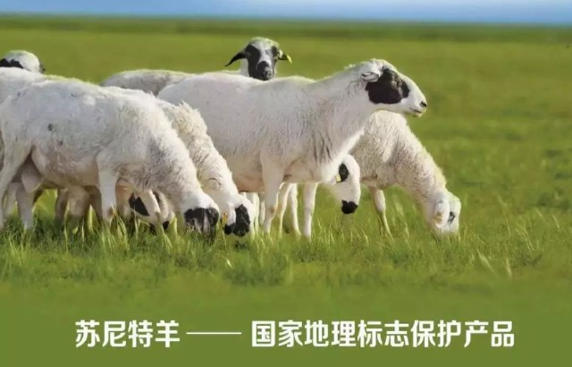 门窗网站seo优化服务