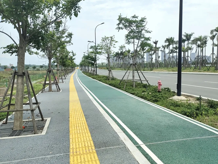 厦门这里双向八车道!