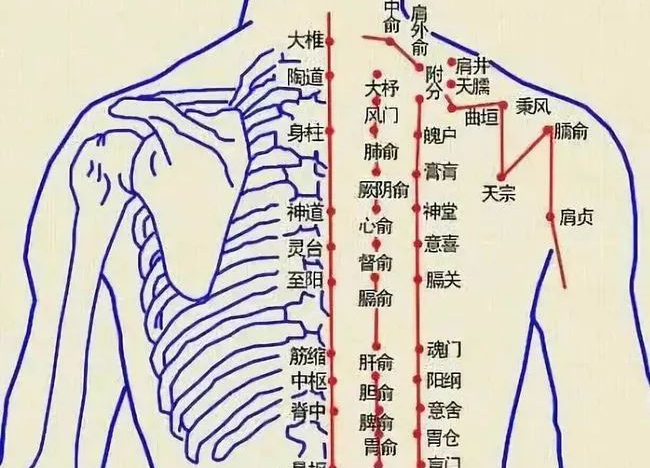 我们后背有一穴,活血化瘀,防大病,让全身气血都动起来!