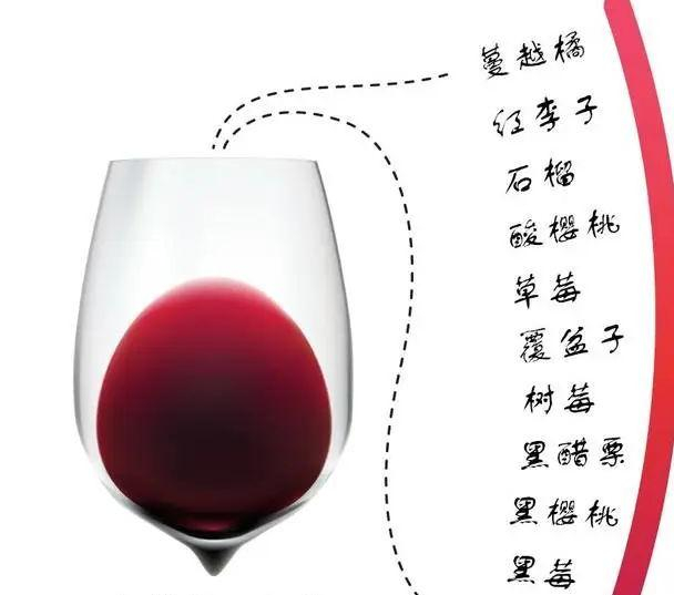 品尝葡萄酒——闻香|葡萄酒|香气|橡木_新浪新闻