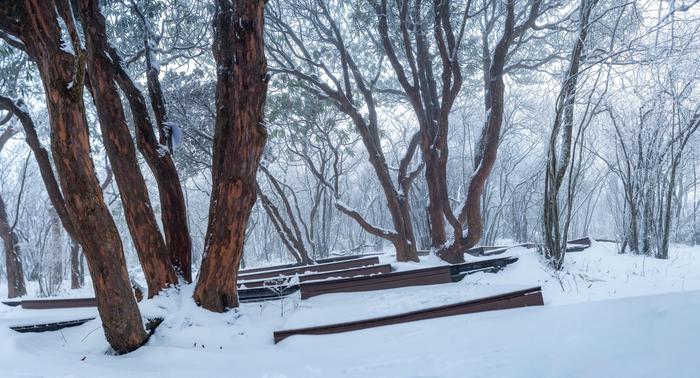 最美的景色雪景图片