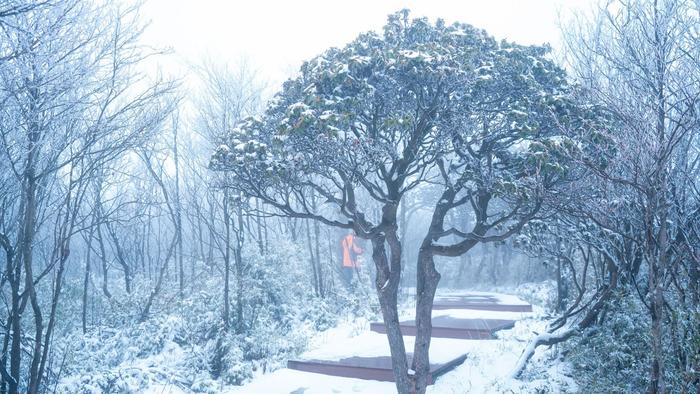 最美的景色雪景图片