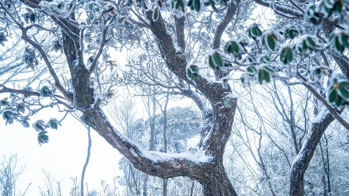 最美的景色雪景图片