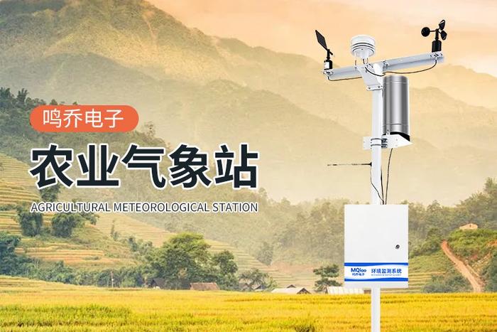 农田环境监测系统：智慧农业的数据之眼