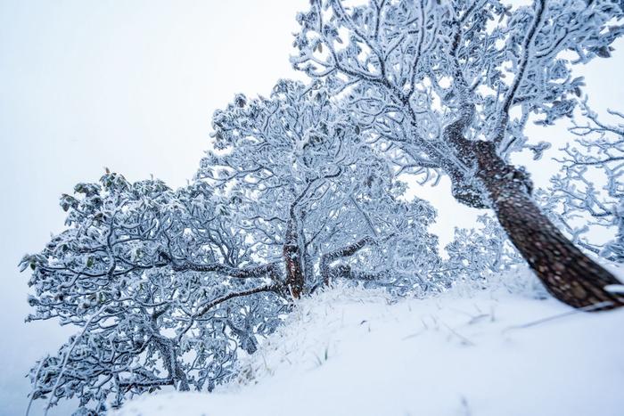 雪景 最美图片