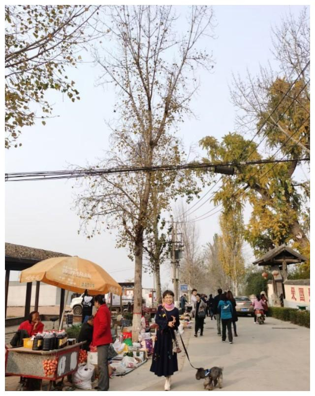 秦岭天子峪游记二