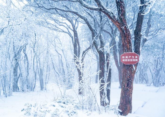 最美的景色雪景图片