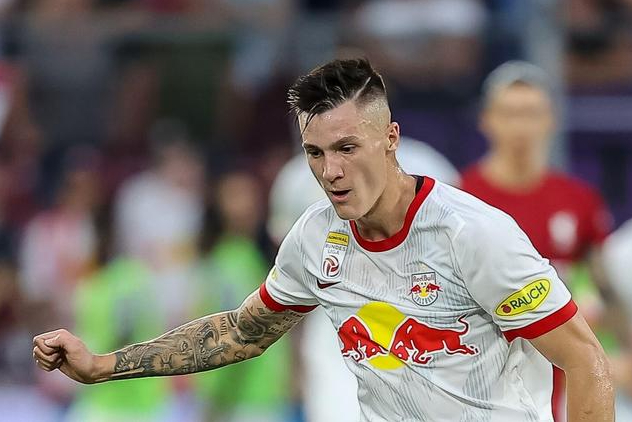 恭喜ac米兰!7500万欧挖新伊布!身强力壮20岁轰16球,冲三冠王