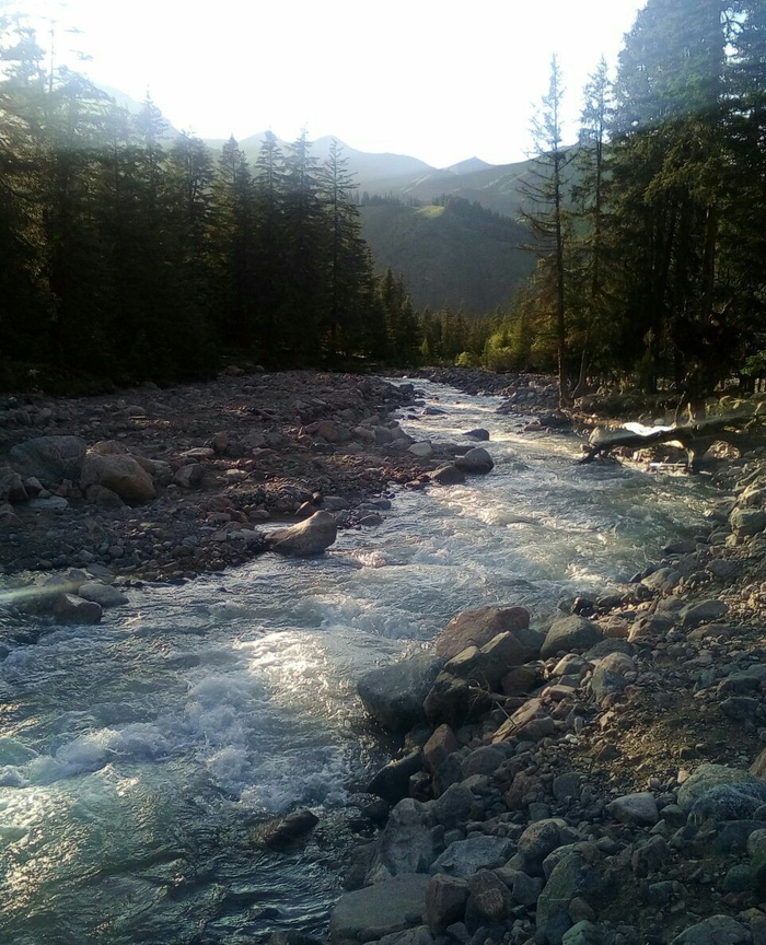 青海省 海北藏族自治州 祁连县 冰沟林海