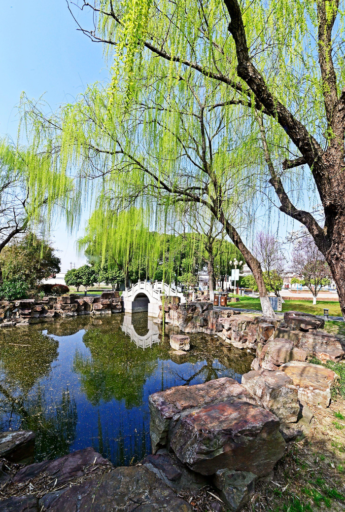 春到黄土塘江苏无锡锡山区东港镇