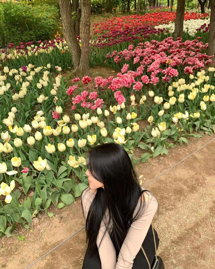 鲜花配绿叶