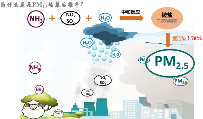 环保科普 | 氨,导致雾霾的罪魁祸首?!