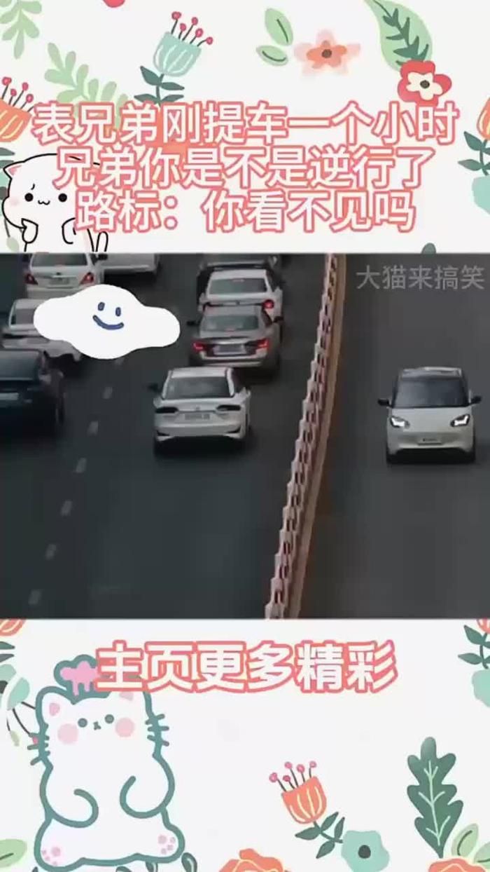 高速公路逆行搞笑图片图片