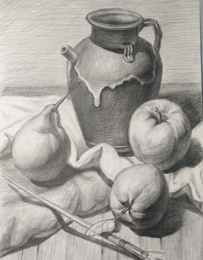 想定静物画 明暗素描静物画法步骤