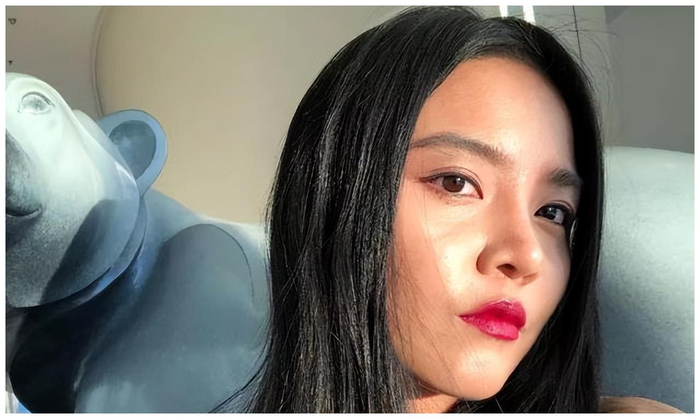 中国叛徒高天才，为加入美籍，竟忽悠国民赴美参军，结局大快人心