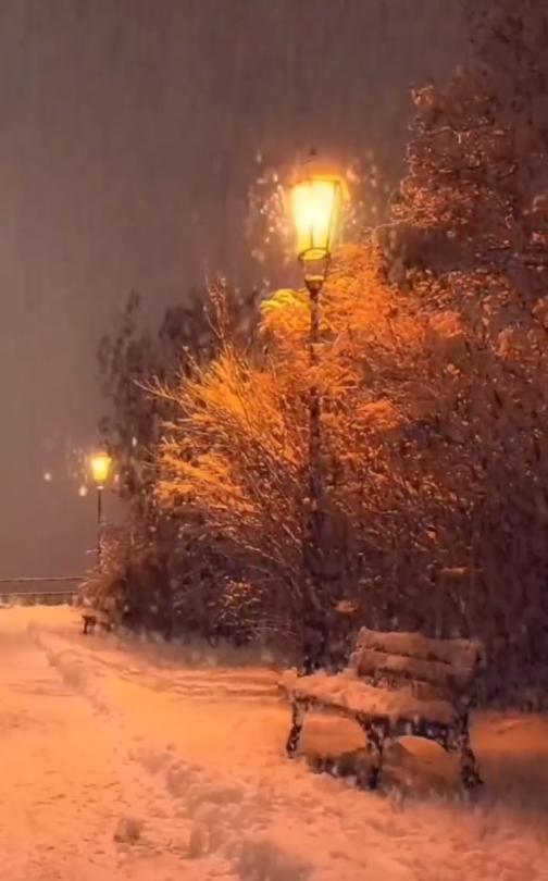 路灯下的雪景图片唯美图片