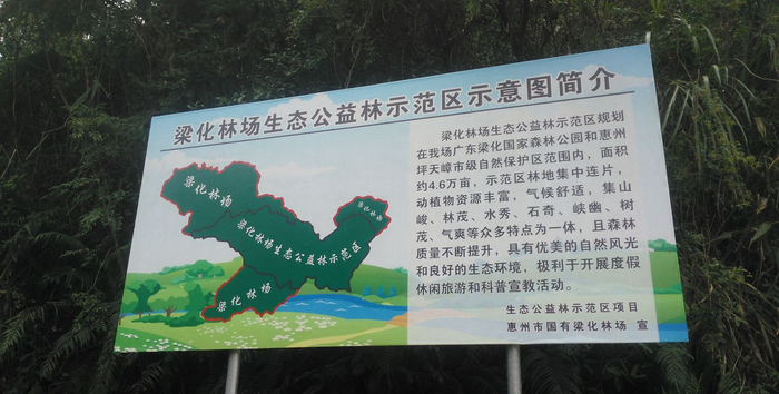 春天的惠州梁化国家森林公园实拍,这里绿意盎然,空气很好