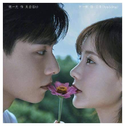 《亲爱的热爱的》姐妹篇杀青,胡一天挑大梁,杨紫李现客串狂撒糖|亲爱