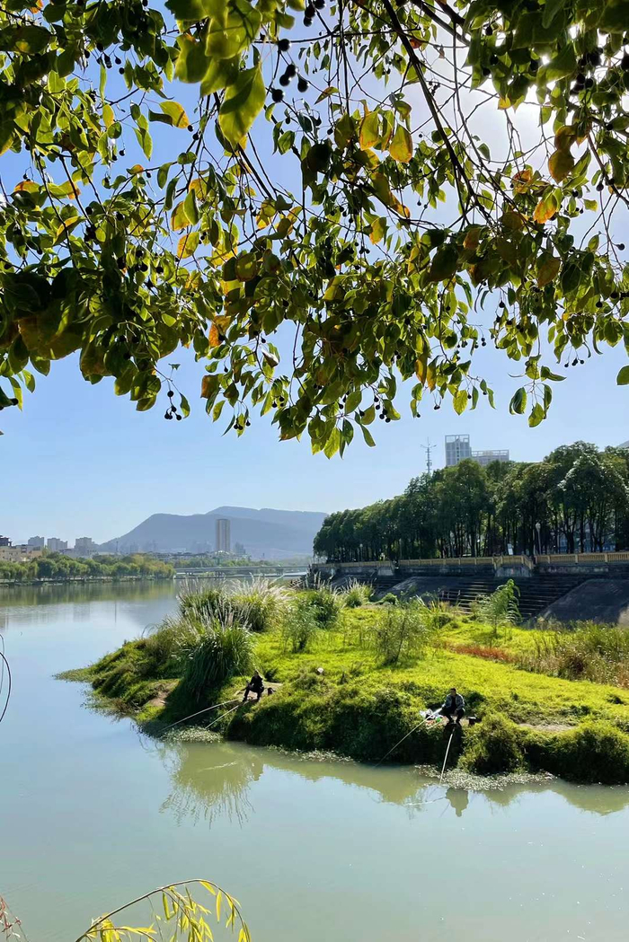 1/ 911月16日,四川广元,南河湿地公园蓝天白云,初冬温暖的阳光,太令人