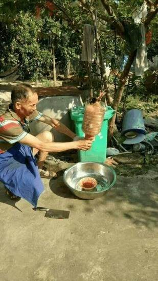 农民大叔自己发明的简易杀鸡工具，轻松解决一只鸡！|老大爷|农家乐|图片|网络|民间_新浪新闻