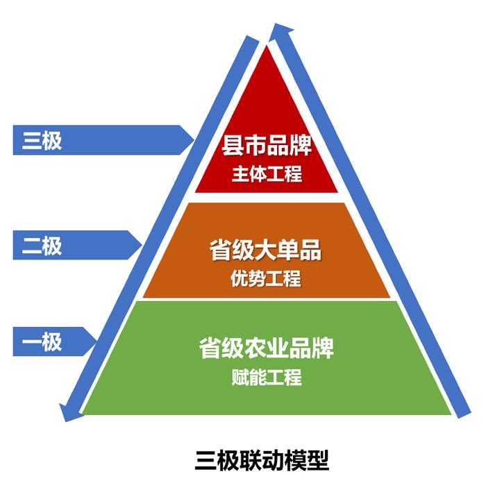 农产品区域公用品牌建设的三大纪律八项注意