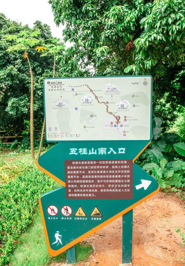 探索漳州的绝美风光：自助旅行指南