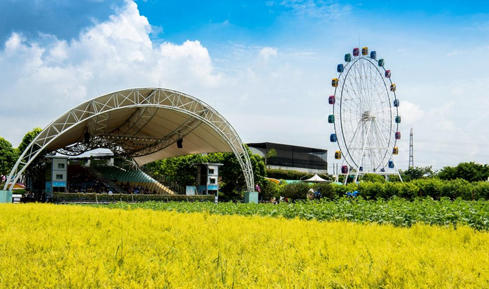 中国向日葵最多的公园,位于广州南沙,现已成为网红景区