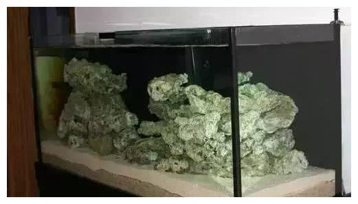 活石的功能被过分夸大，开缸到底应该怎么放活石？|有机碳|微生物_新浪新闻