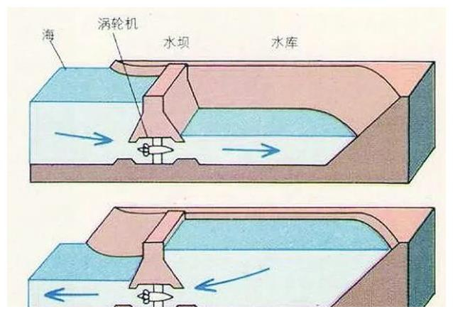大海涨潮退潮的原理是什么?看完长知识了