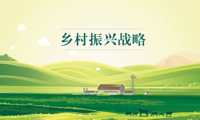 助力乡村振兴的平安探索：从聚焦农业生产到促进三产融合