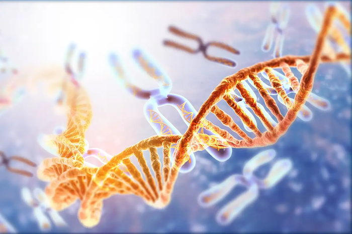 港媒:中国科学家打造全球最精细人类基因组,对治病大