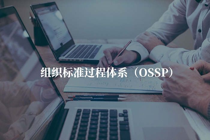 Formula Ossp 组织标准过程体系(OSSP)|信息安全_新浪新闻