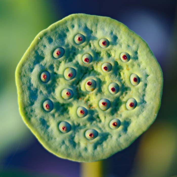 密集背靠背与长途飞行考验雷霆年轻阵容体能应对策略成季后赛席位关键