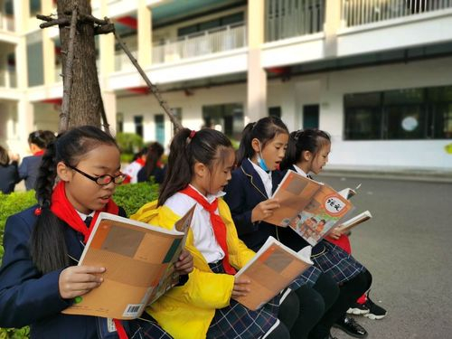 小学生晨读安排讲究大,学霸们“三必读”类目,不少家长还不知道