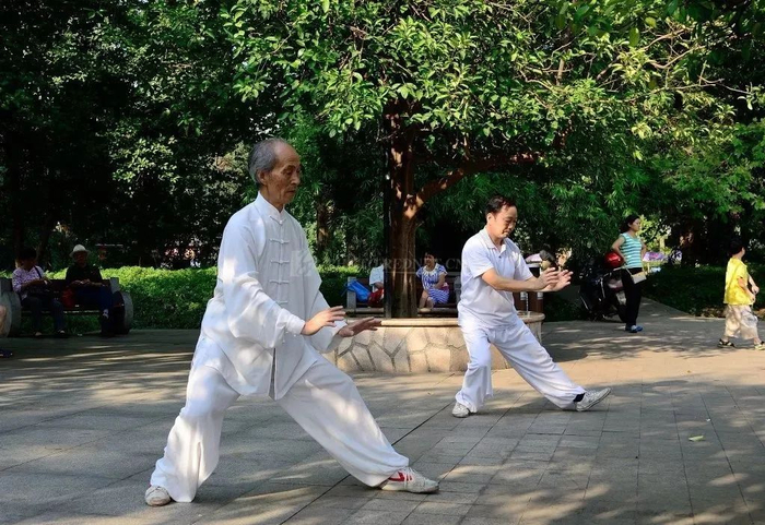 太极养生好处多,如何打好太极拳?|突然性|爆发式|技法|通气量|瑰宝_新浪新闻