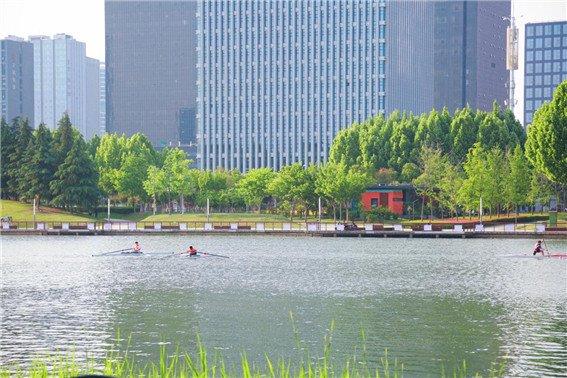 郑州郑东新区龙子湖公园:绿树成荫,美不胜收