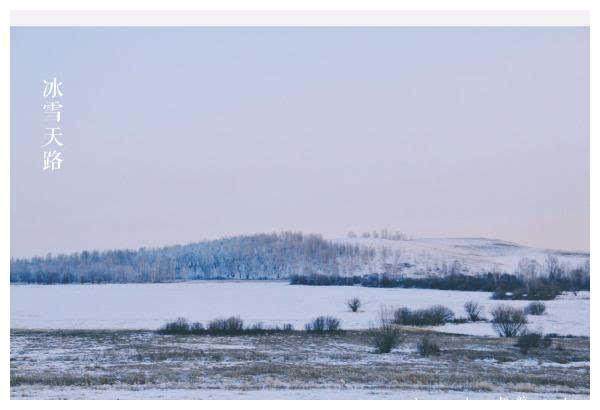 世界四大草原之一，冬天的呼伦贝尔，一片雪白的世界