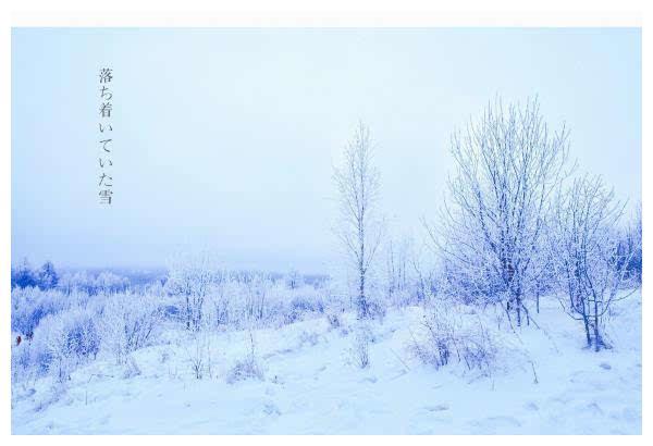 世界四大草原之一，冬天的呼伦贝尔，一片雪白的世界