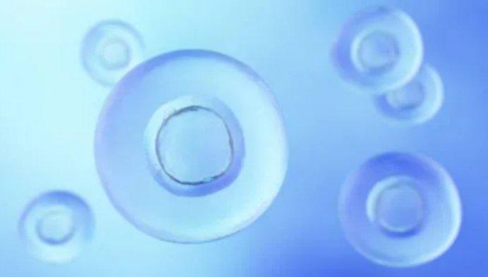差怎么优化调卵子质量：实用技巧与营养指南
