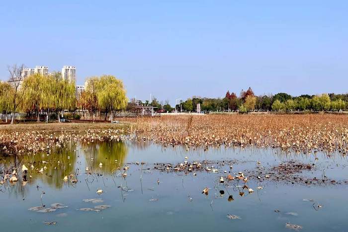 冬·美拉德色的江夏中央大公园(武汉市江夏区)
