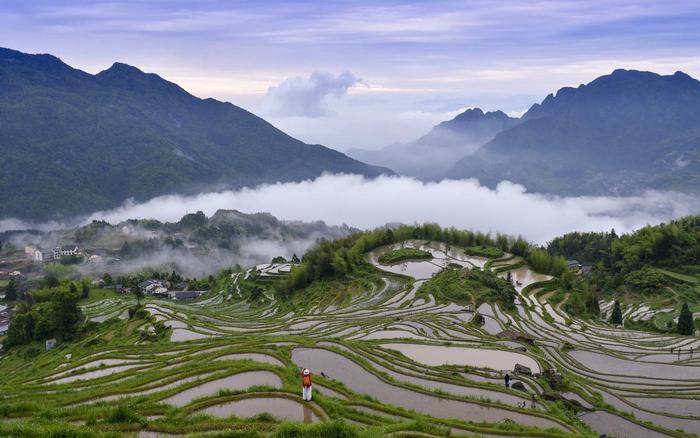 丽水｜“中国最美梯田”的云和梯田，旅游者为何会如此青睐？