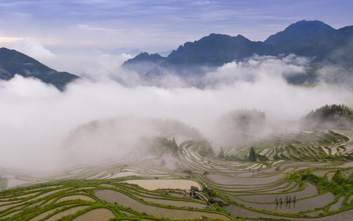 丽水｜“中国最美梯田”的云和梯田，旅游者为何会如此青睐？