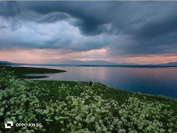 同档位碾压级旗舰影像四年久用流畅oppok11配置有多顶