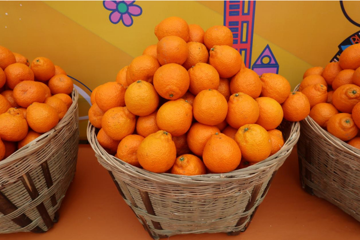 石棉黄果柑成都推介会成功举办!
