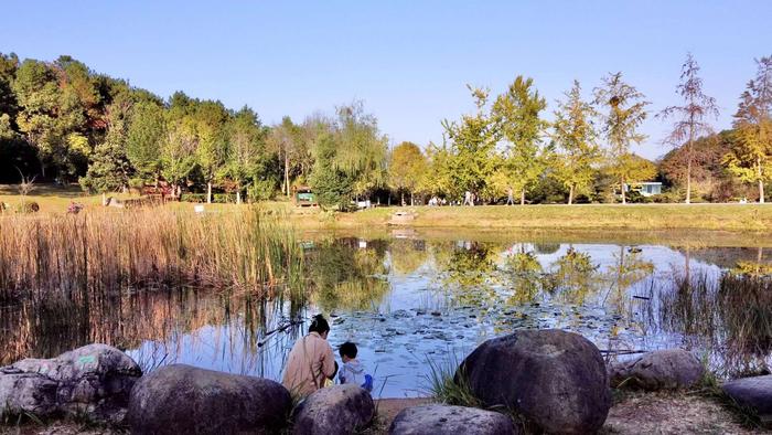 江夏湿地公园图片